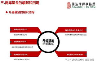 監管升級背景下，海外投資的策略調整與投資管理之道